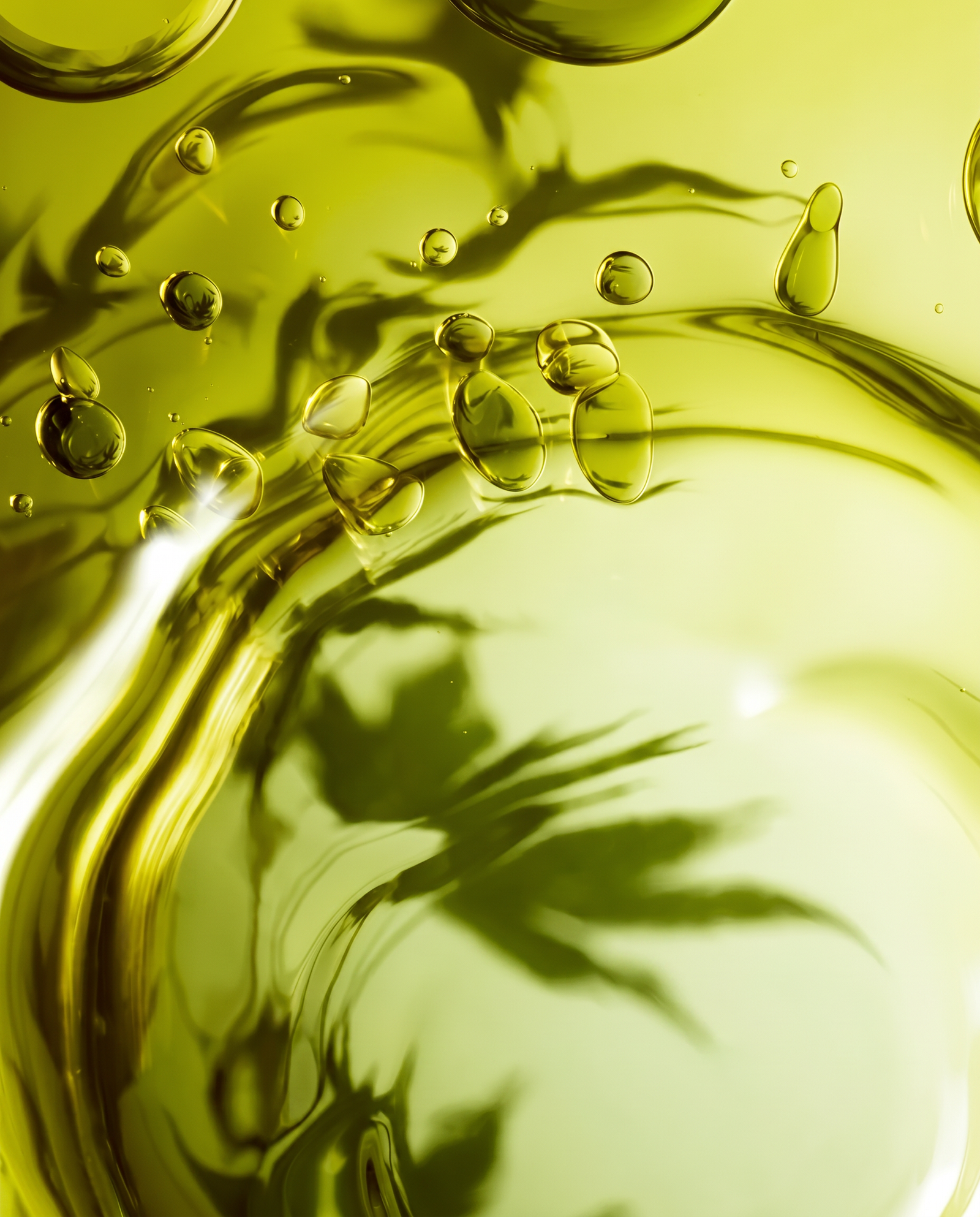Two botanicals, one morning film.